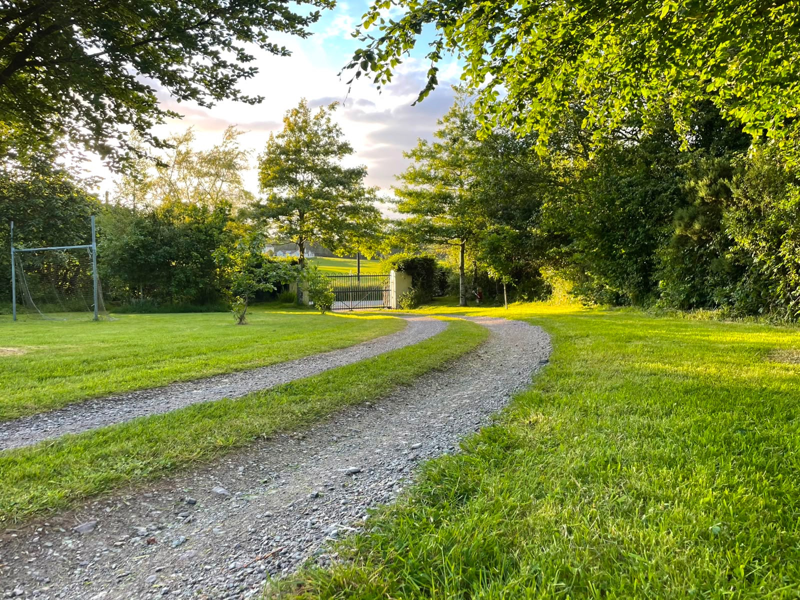 Golden evening light over a West Cork garden path